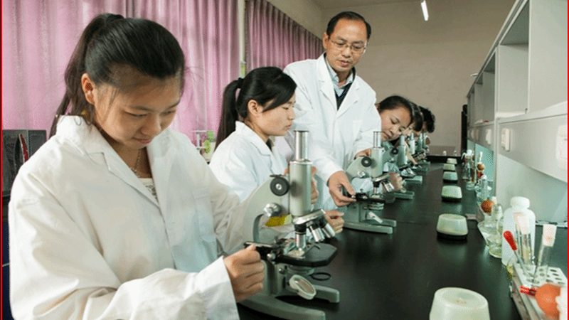 食品级药用辅料：分类与标准解析