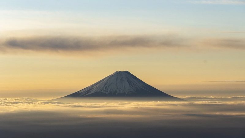 药用低密度聚乙烯袋：了解其关键特性与选择要点**