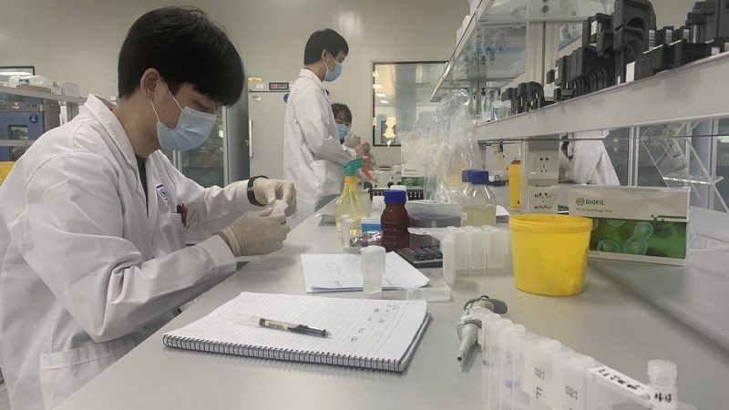 医药OEM代工：揭秘价格背后的考量因素**