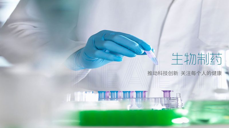 上海药用辅料代理条件：合规与质量的保障**